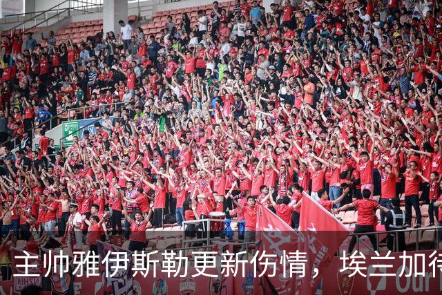 主帅雅伊斯勒更新伤情，埃兰加待查，德迪奇尼科缺阵赫尔城